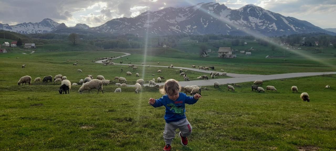 Organic Family Farm Hotel Žabljak Kültér fotó