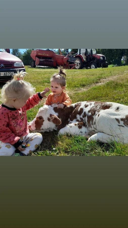 Organic Family Farm Hotel Žabljak Kültér fotó