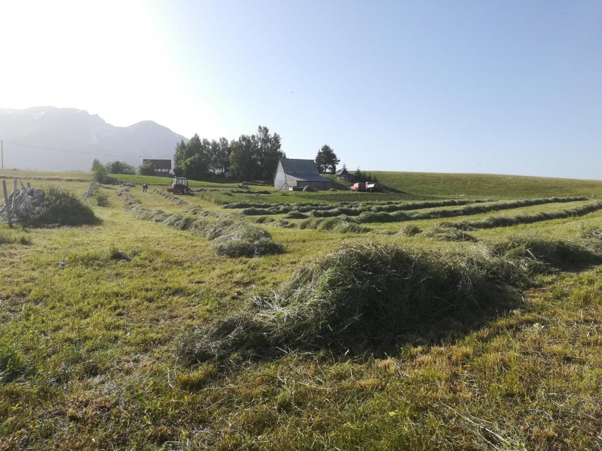 Organic Family Farm Hotel Žabljak Kültér fotó