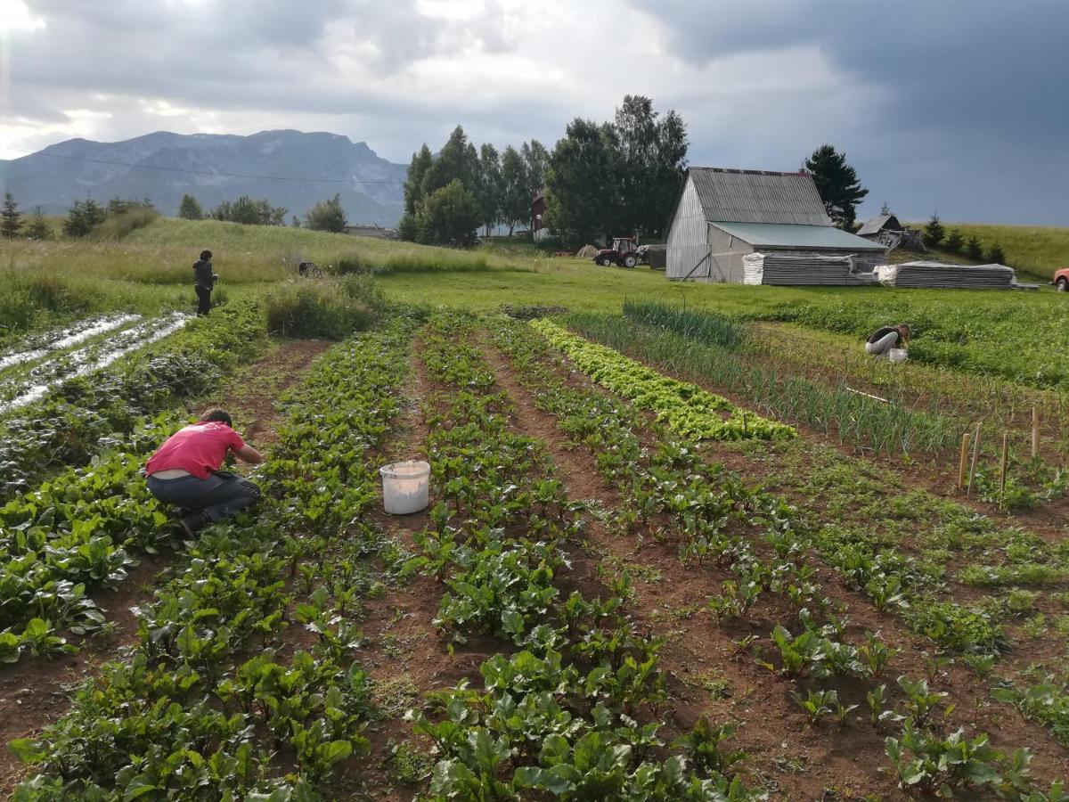 Organic Family Farm Hotel Žabljak Kültér fotó