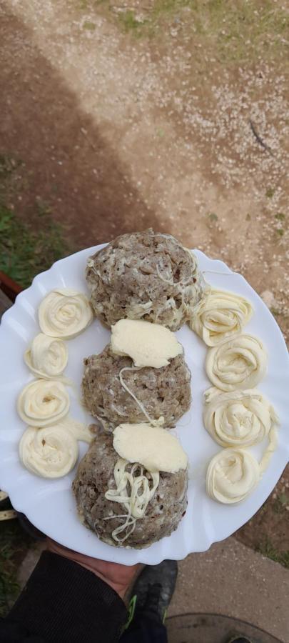 Organic Family Farm Hotel Žabljak Kültér fotó