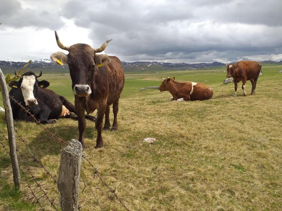 Organic Family Farm Hotel Žabljak Kültér fotó