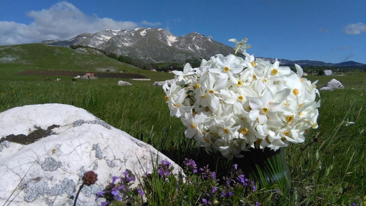 Organic Family Farm Hotel Žabljak Kültér fotó