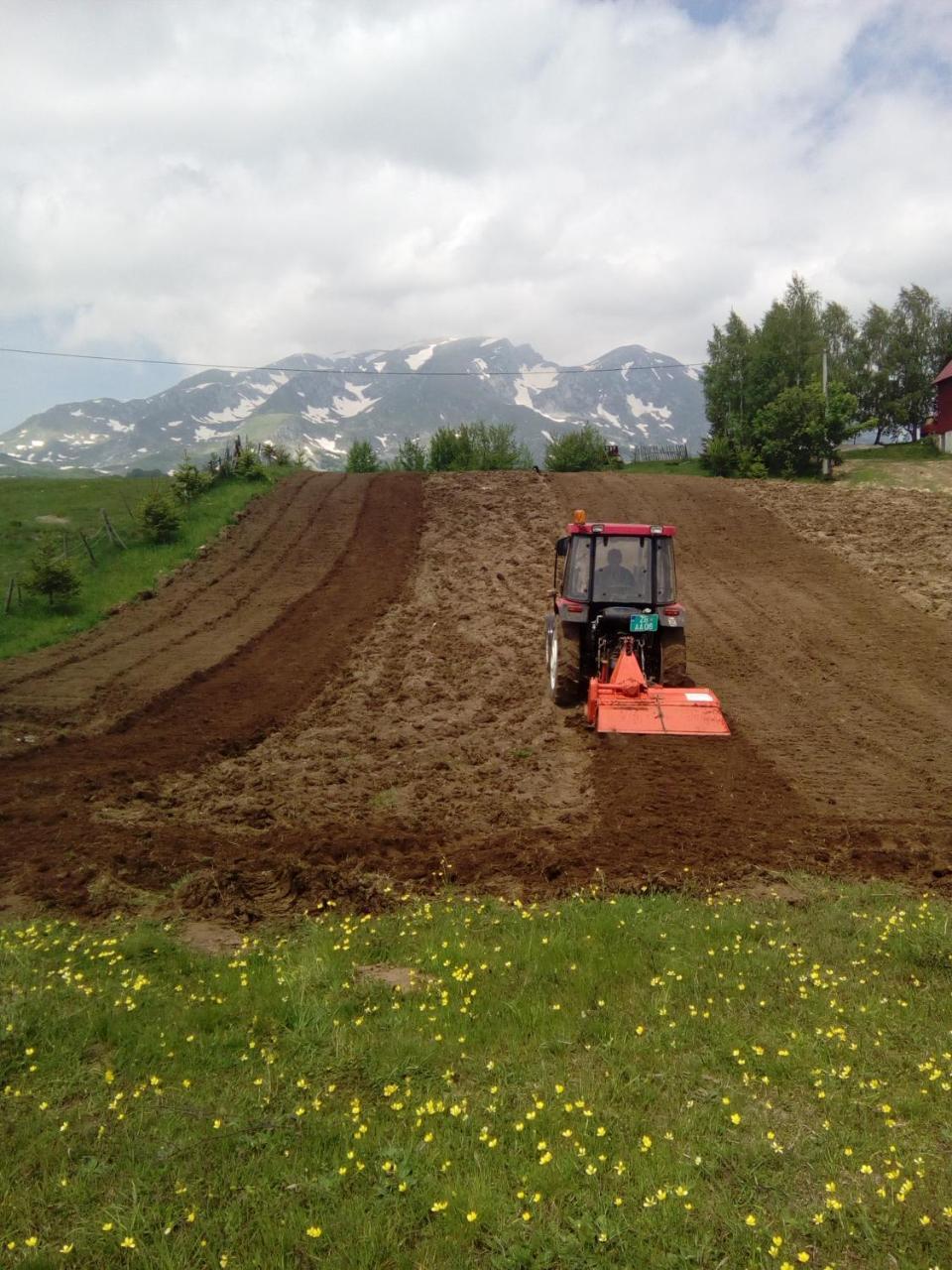 Organic Family Farm Hotel Žabljak Kültér fotó